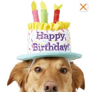 NWT Frisco Happy Birthday Cake Pet Hat